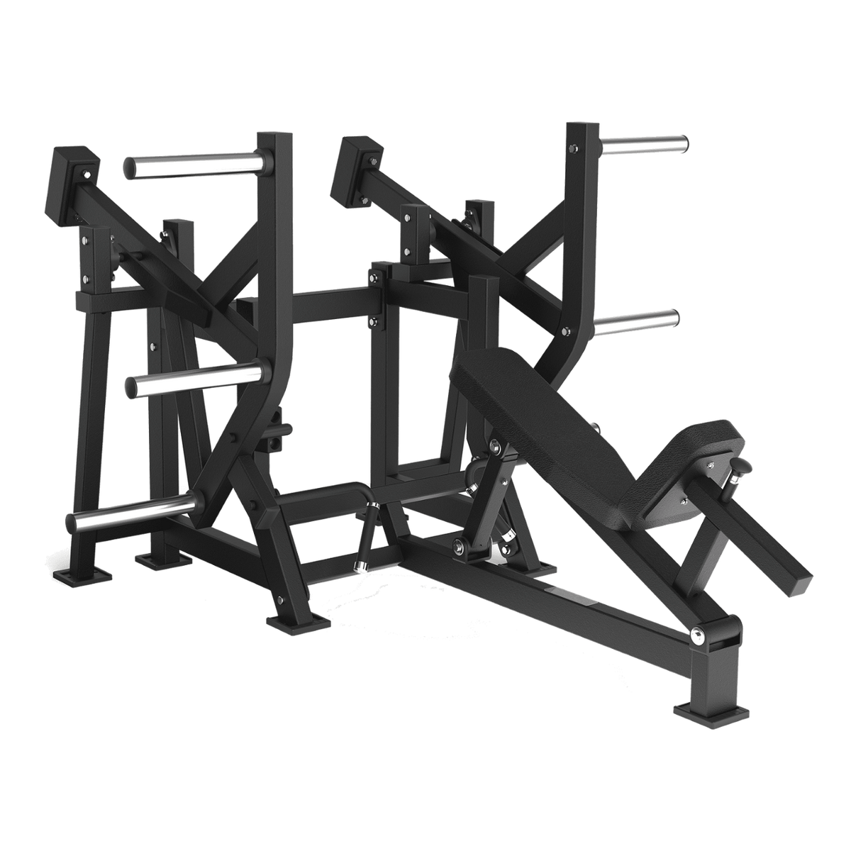 Toorx Professional FWX-6900 Lower Back, macchinario completo