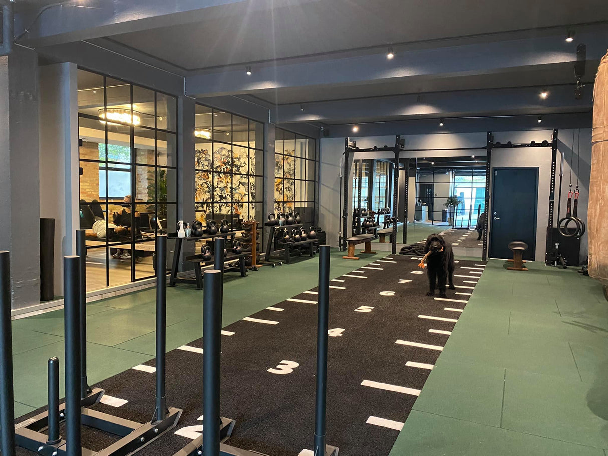 SPRINT TRACK - NUMERI