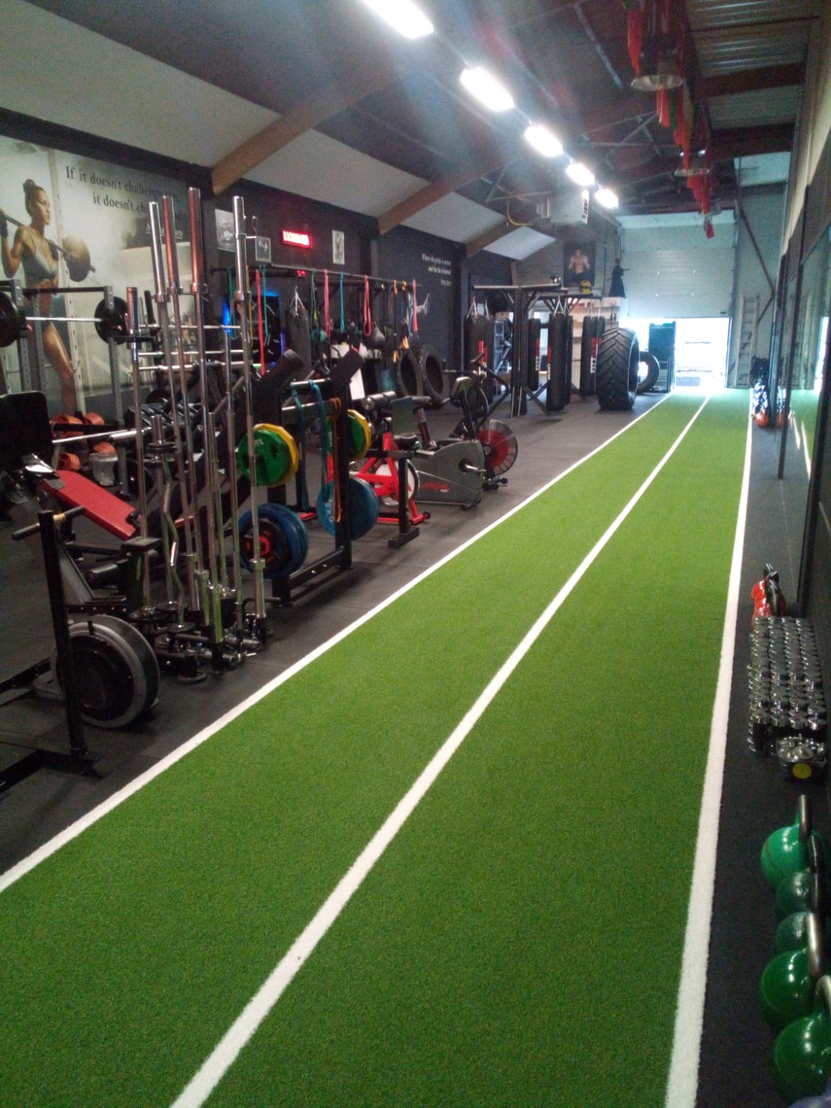 ERBA SINTETICA CON LINEE