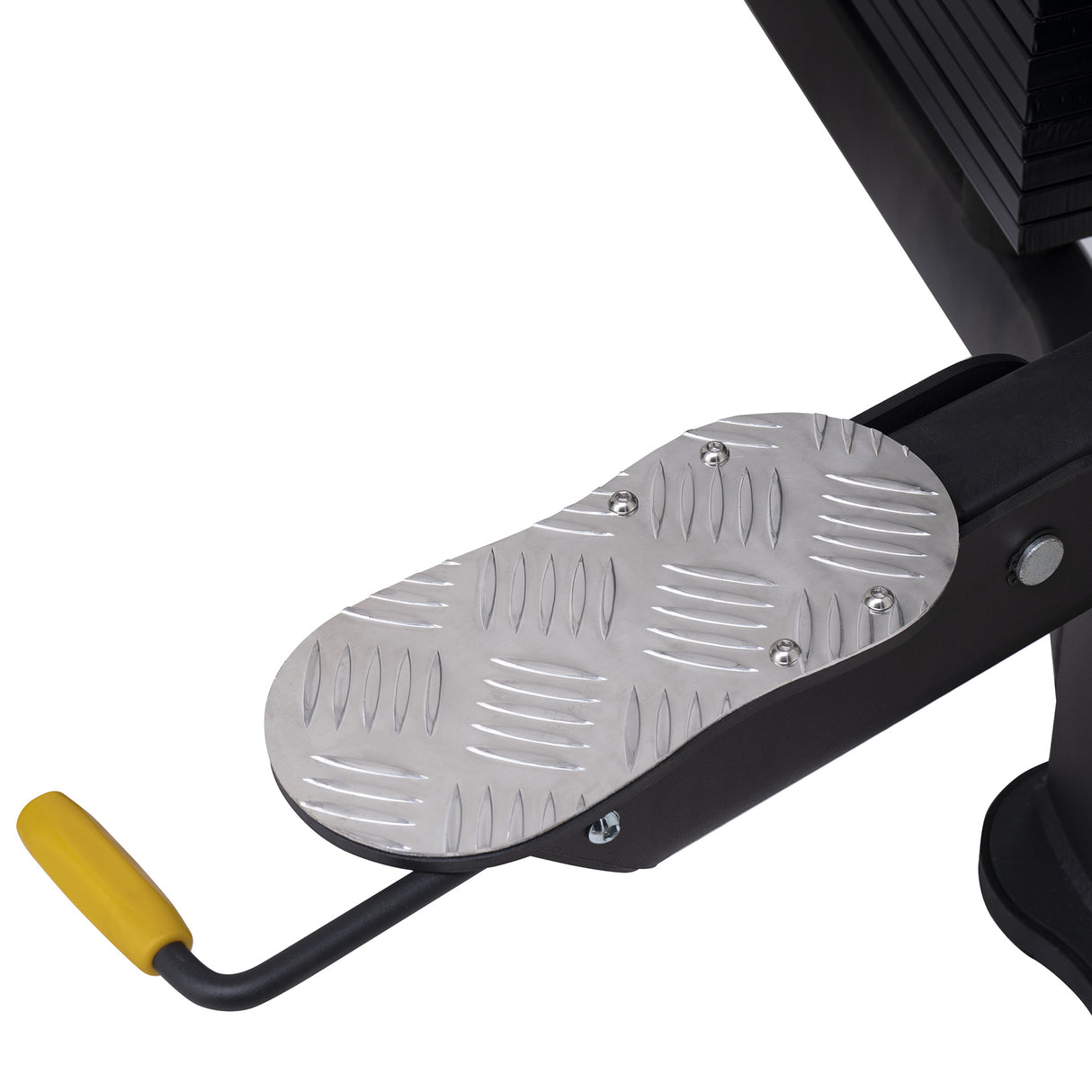 DUAL PULLEY | MASTER