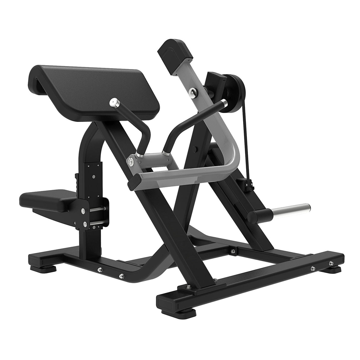 SEATED BICEPS CURL | 300
