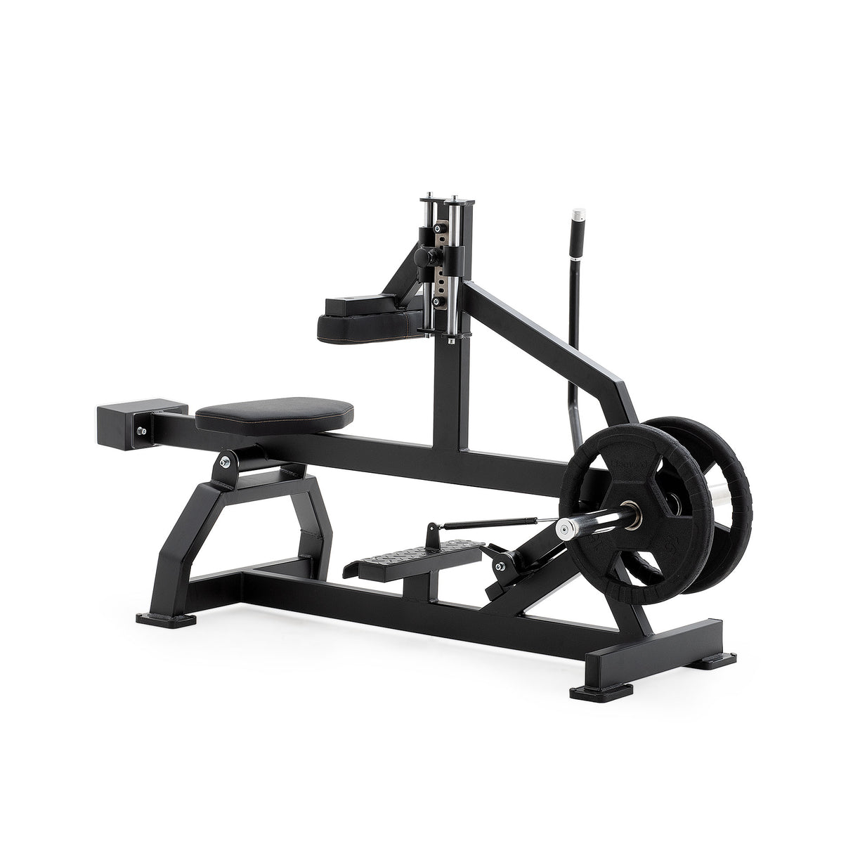 SITTING CALF | 500