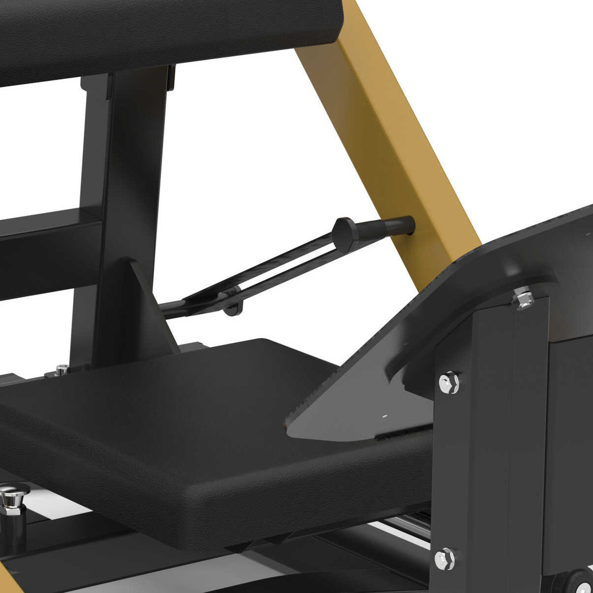 Toorx Professional FWX-10300 – dettaglio schienale e supporto del bacino