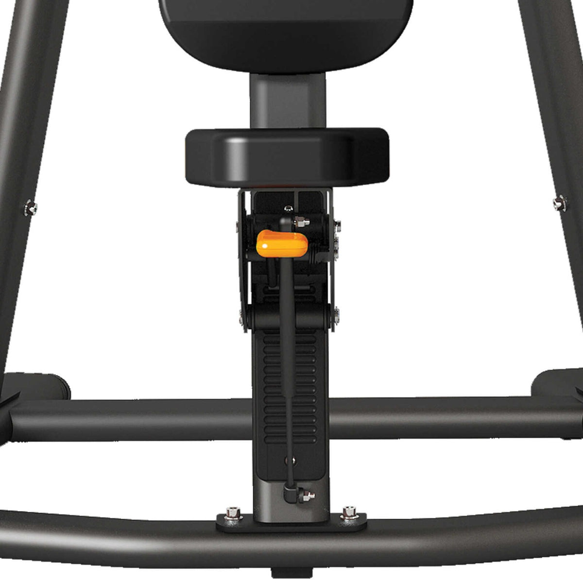 Toorx Professional FWX-8100 – dettaglio seduta e regolazione in altezza