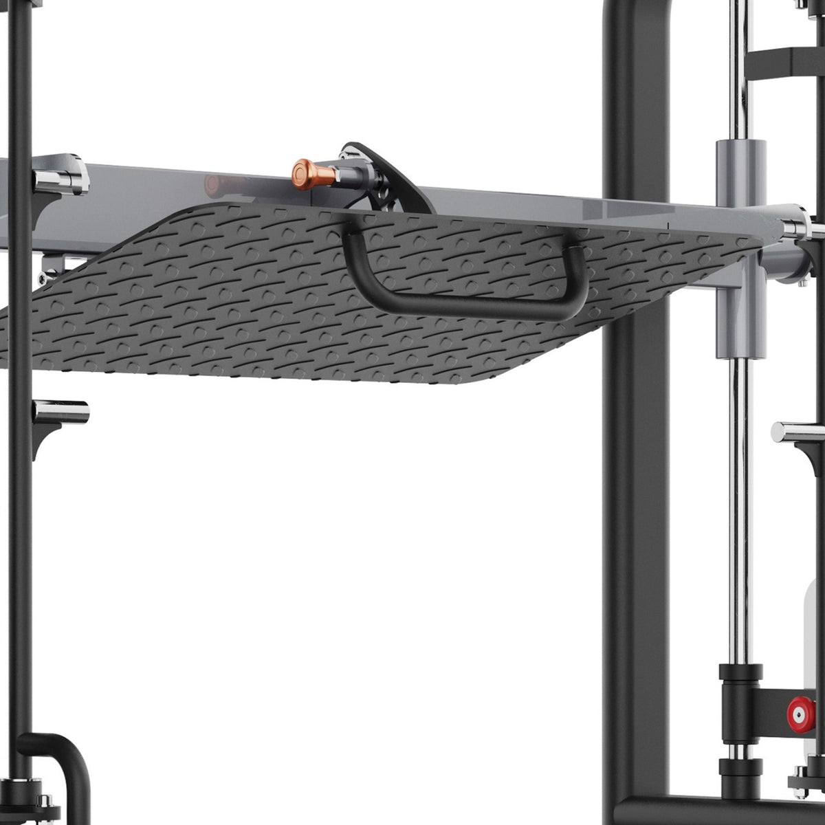 Toorx Professional FWX-8850 – dettaglio pedana e guide