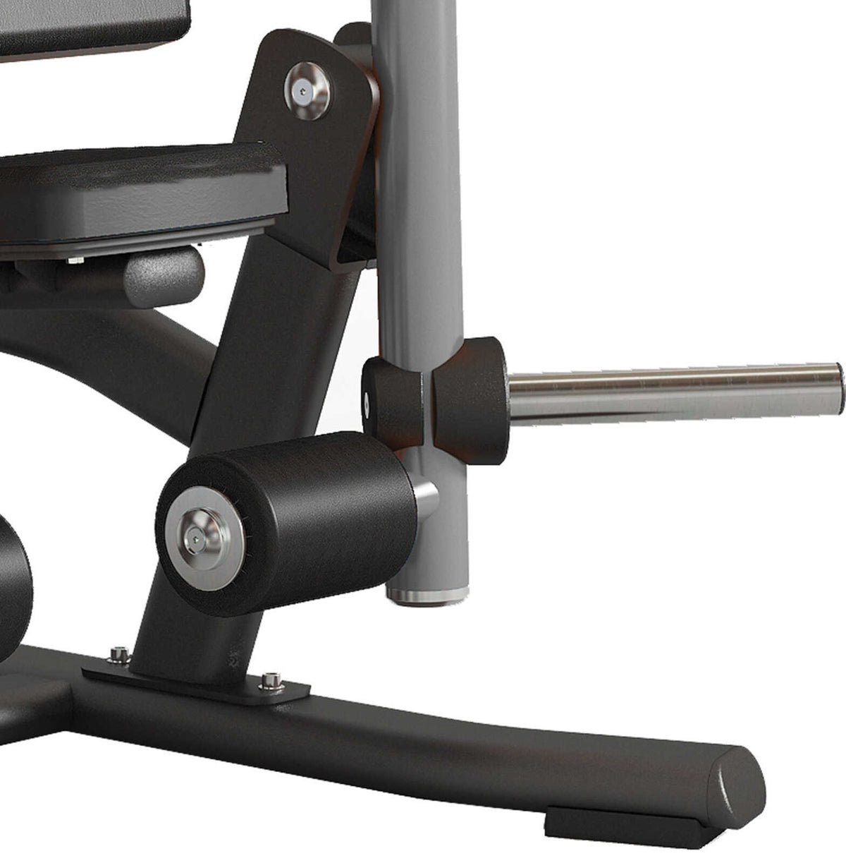 Toorx Professional FWX-9500 – dettaglio rullo e supporto per i dischi