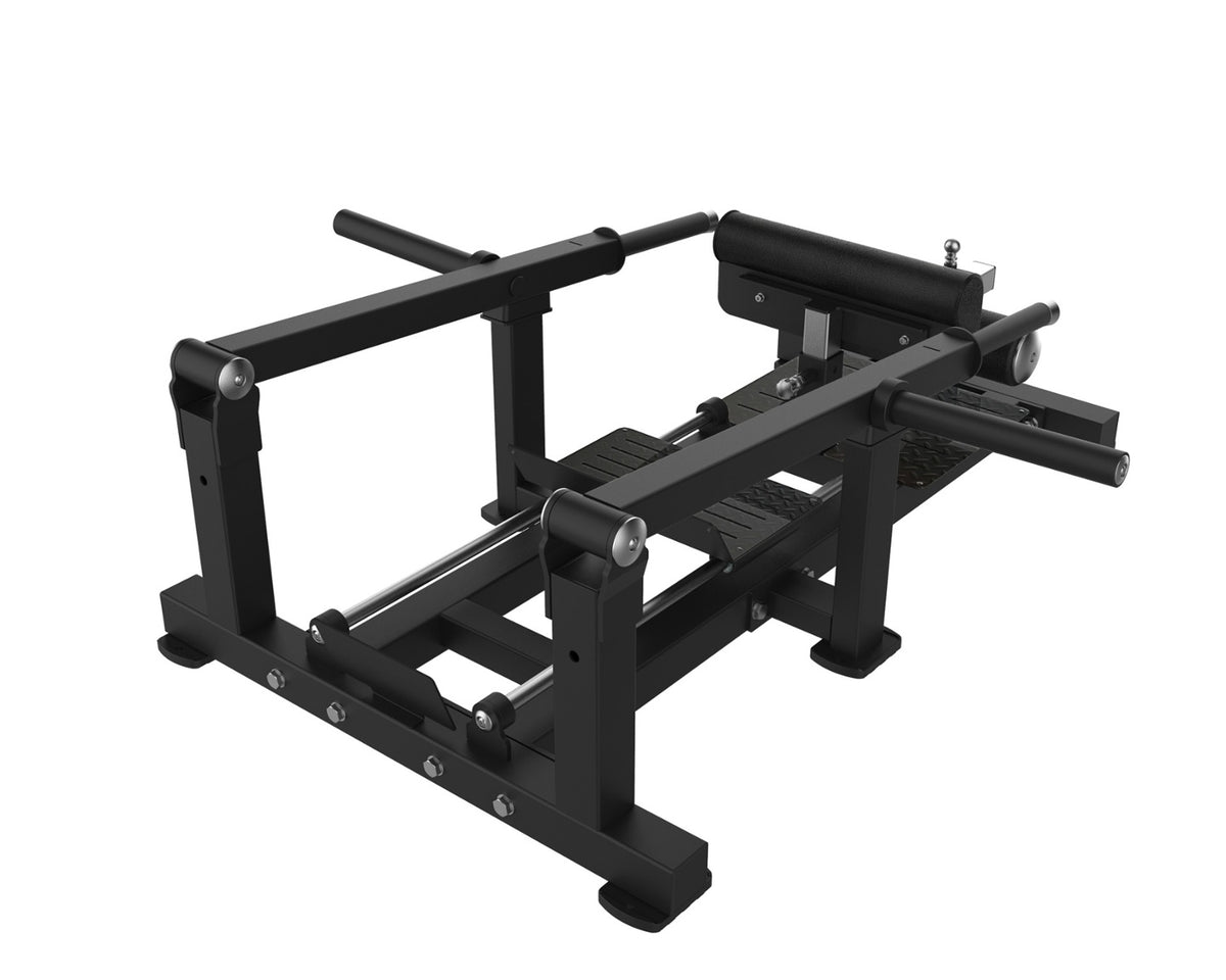 Toorx Professional FWX-7670 Sliding Lunge Machine, vista posteriore