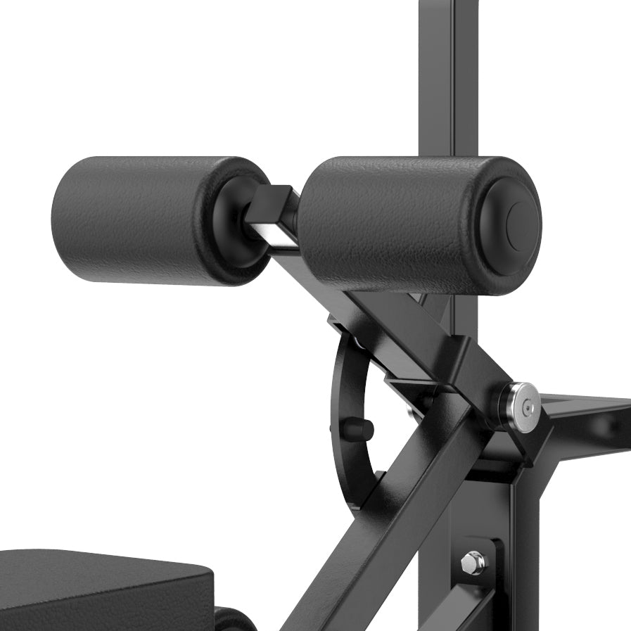 Toorx Professional FWX-7850 Standing Hip Thrust, rulli e leveraggi