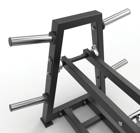 Toorx Professional FWX-7600 Belt Squat, perni portadischi