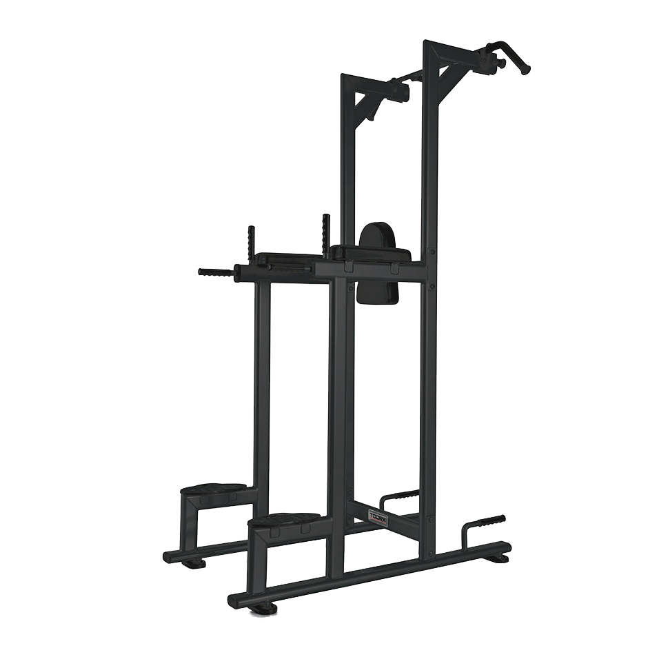 CHIN / DIP / LEG RAISE | WBX 2800