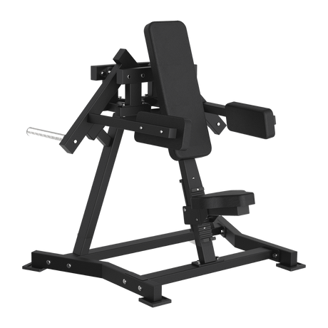 Toorx Professional FWX-6500 Lateral Raise, macchinario completo