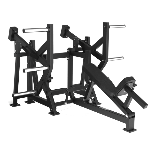 Toorx Professional FWX-6900 Lower Back, macchinario completo