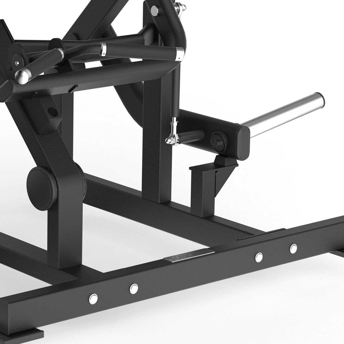 Toorx Professional FWX-7100 Biceps Curl, struttura e supporti per dischi