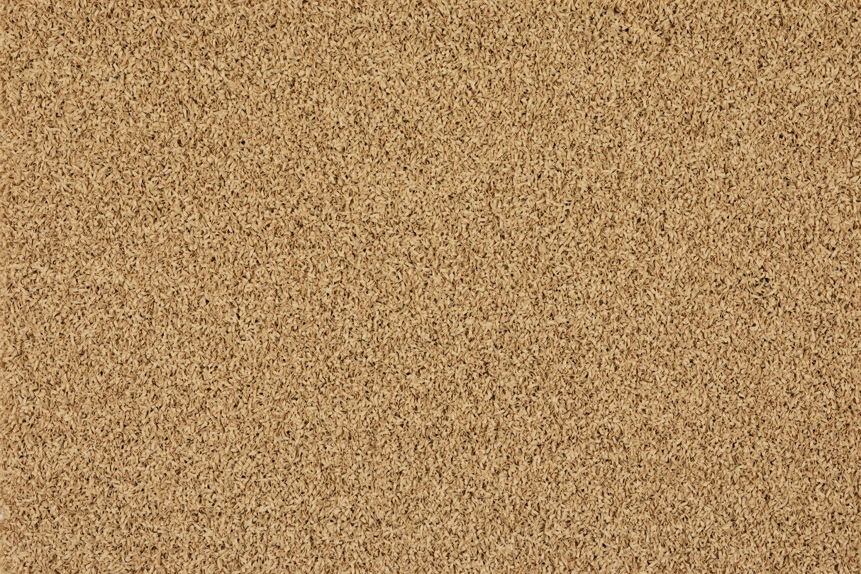 SPRINT TRACK - START & FINISH