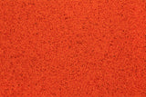 SPRINT TRACK - START & FINISH