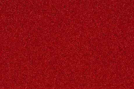 SPRINT TRACK - NUMERI