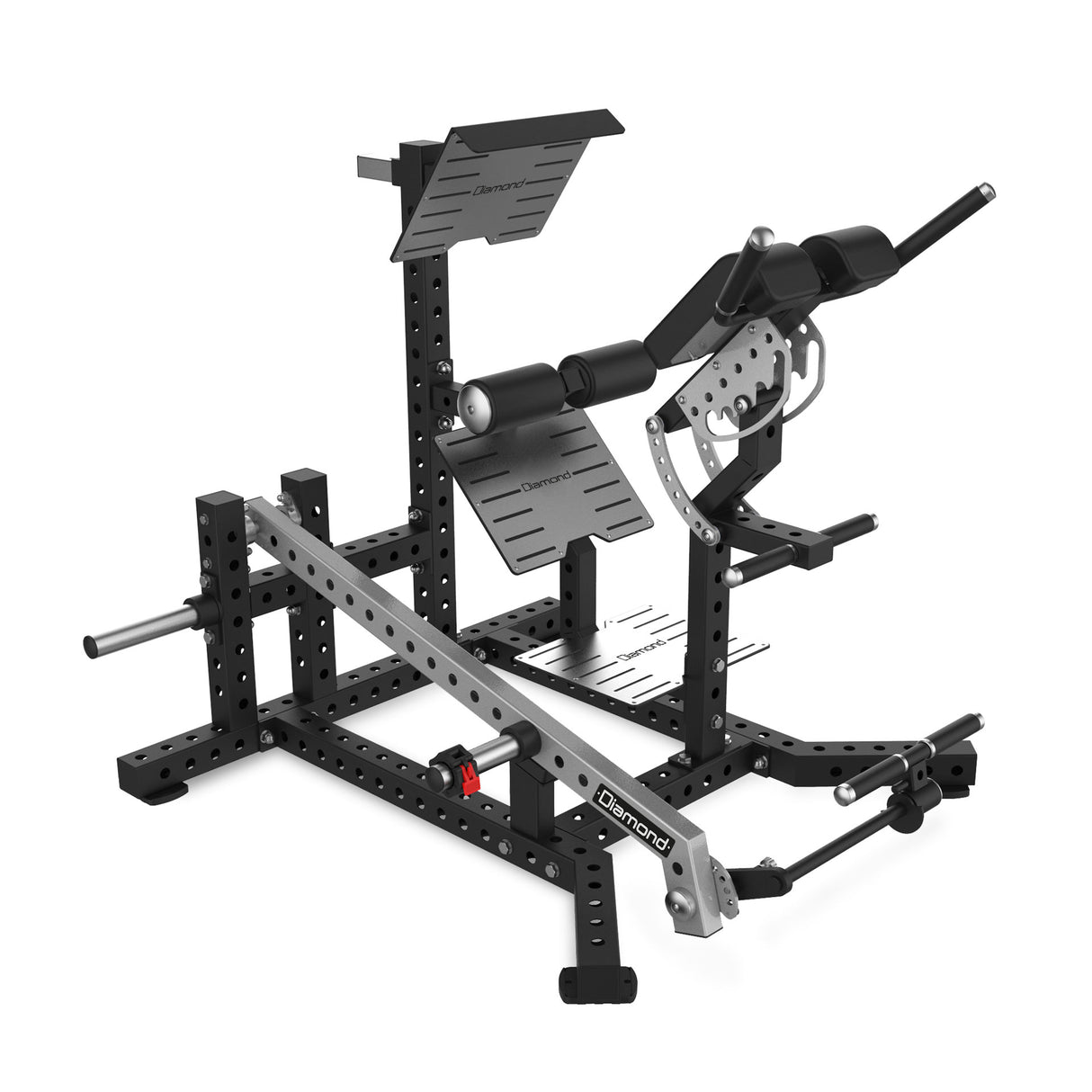 BACK EXTENSION | RIGS