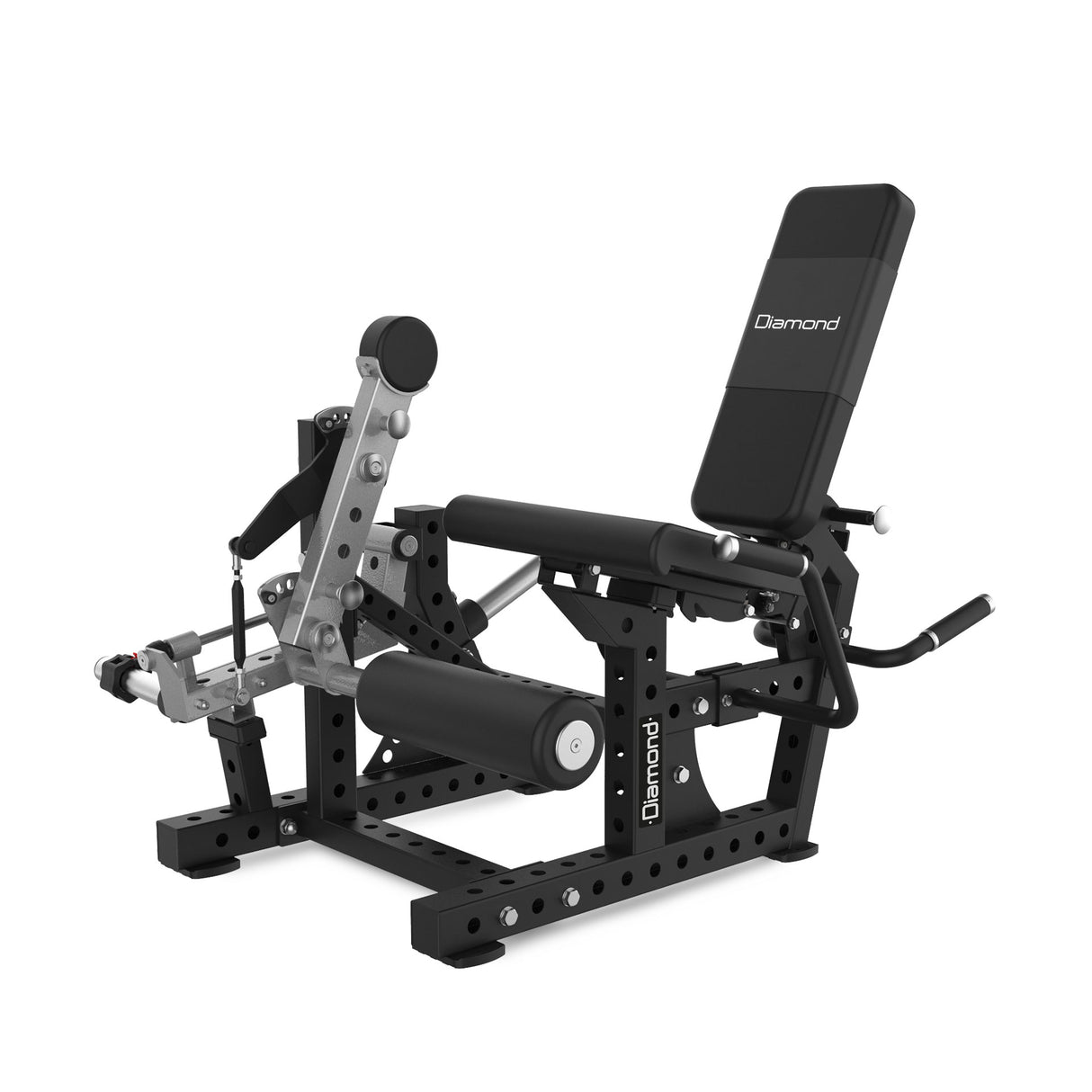 COMBO LEG EXTENSION - LEG CURL PRONO | RIGS