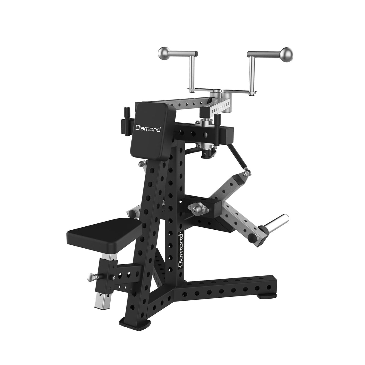 REAR DELT | RIGS