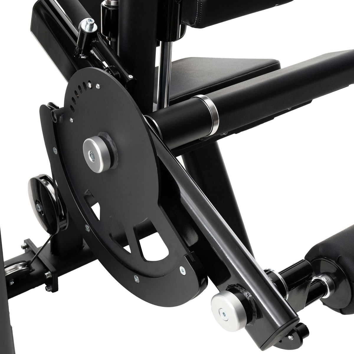 Seated Leg Curl | 650 Diamond - vista 2