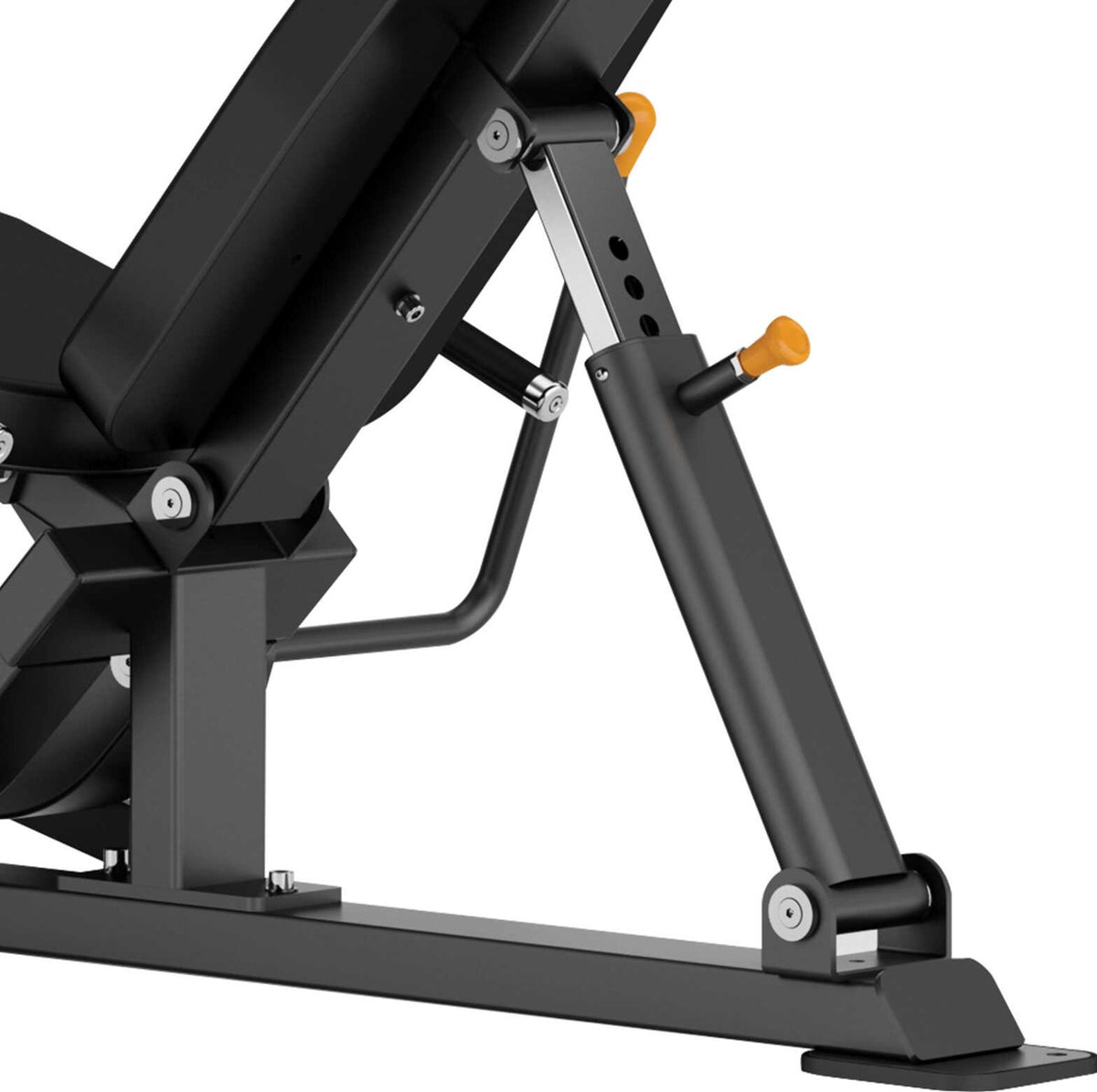 Toorx Professional FWX-8900 – dettaglio schienale e regolazioni