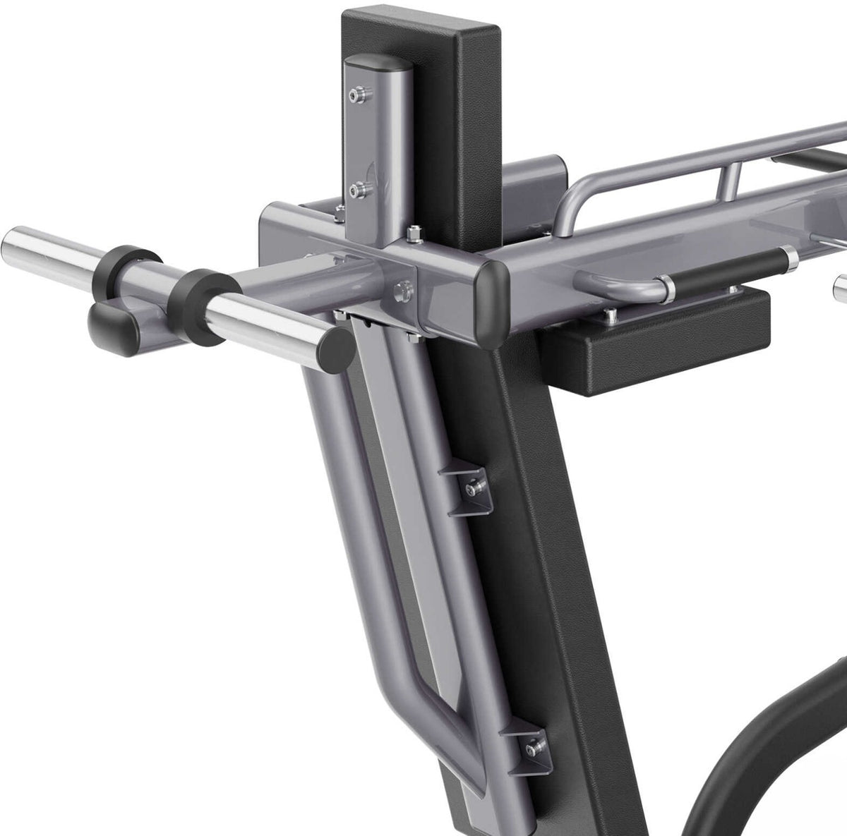 Toorx Professional FWX-9000 – dettaglio supporti per i dischi