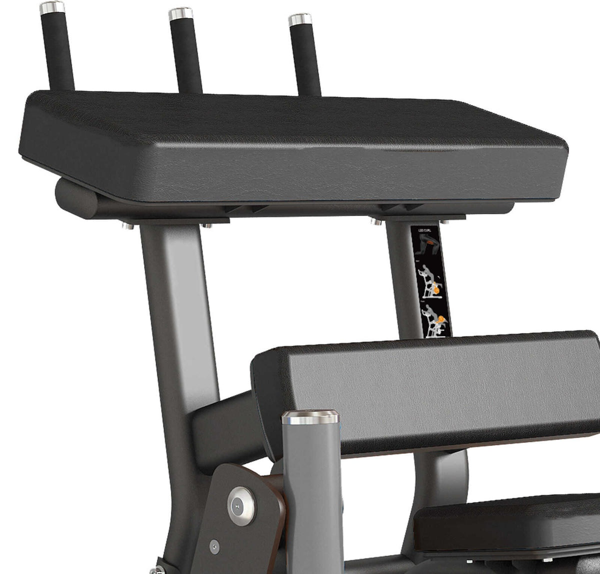 Toorx Professional FWX-9500 – dettaglio appoggi e maniglie