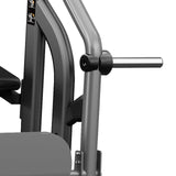 Toorx Professional FWX-9600 – dettaglio leva e supporto per i dischi