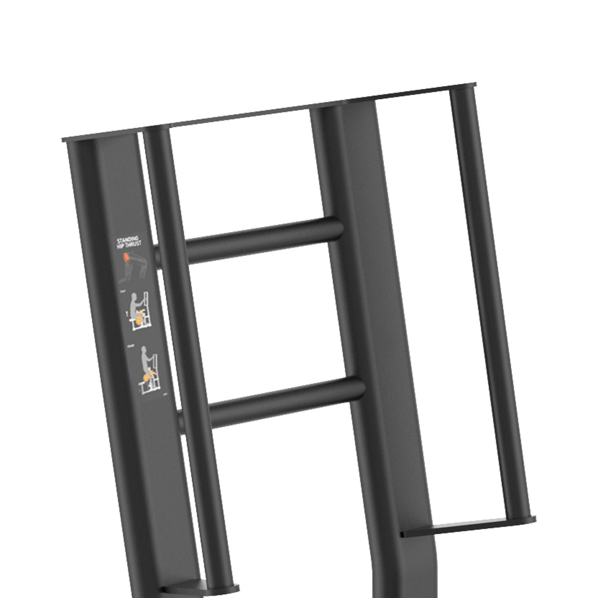 Toorx Professional FWX-9750 – dettaglio schienale e maniglie