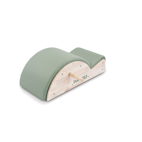 Liveness PTX-1700G - vista e dettaglio 1