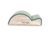 Liveness PTX-1700G - vista e dettaglio 3