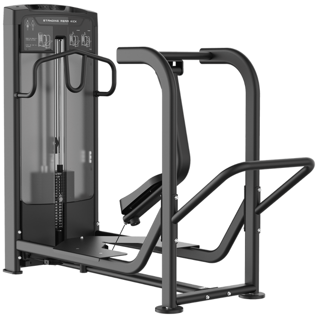 Toorx Professional STANDING REAR KICK PLX-9090 - vista principale