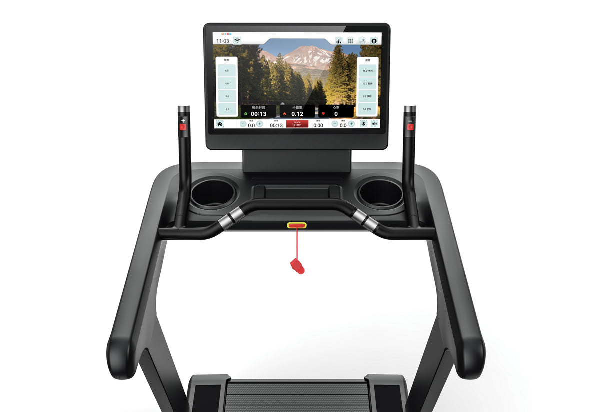 Toorx TRX 9500 CROSS TFT: immagine prodotto 8